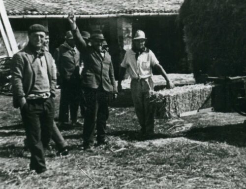 A story every month: “The Reggitore and the Cycle of the Wheat”